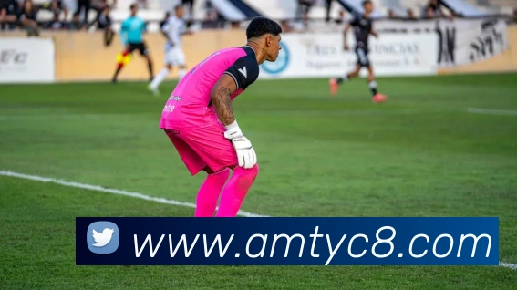 太阳城官网平台生态图