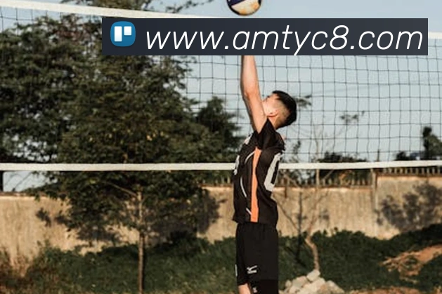 太阳城官网全站App